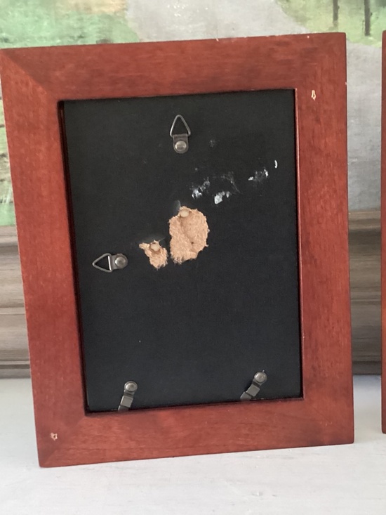 Lot Of 2 Antique Photographs Framed Early 20th Century Family